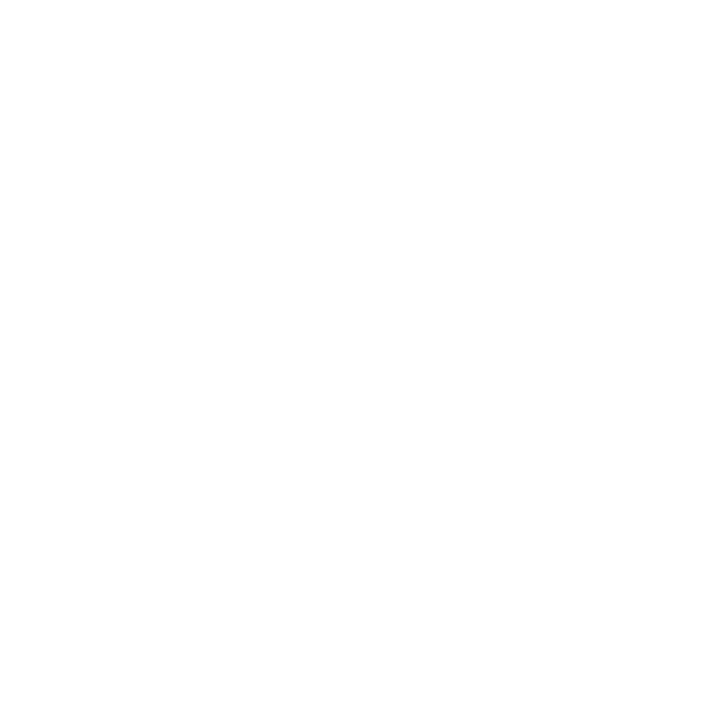WebSpider Studios logo
